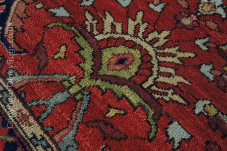 Hand-Knotted Agra Mahal Rug From India