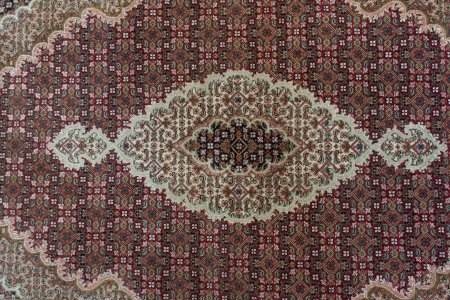 Hand-Knotted Mahi Indian Rug From India