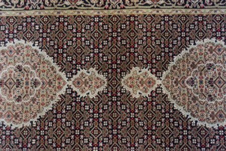Hand-Knotted Mahi Indian Rug From India