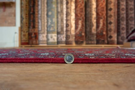 Hand-Knotted Bokhara Rug From Pakistan