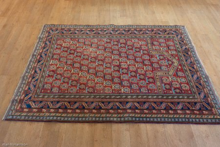 Hand-Knotted Sherwan Rug From Pakistan