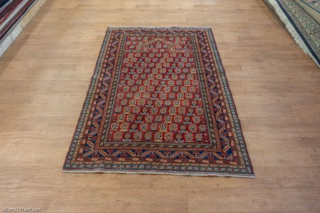 Hand-Knotted Sherwan Rug From Pakistan