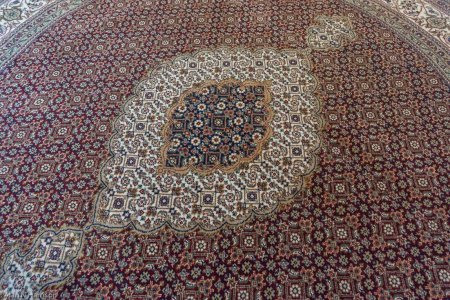 Hand-Knotted Mahi Indian Rug From India