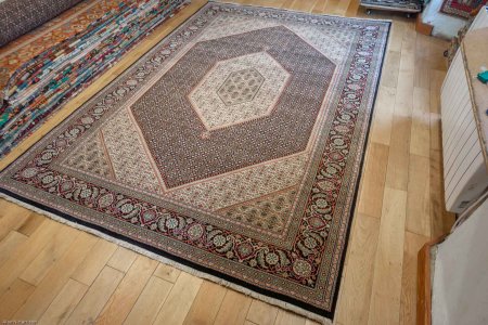 Hand-Knotted Mahi Indian Rug From India