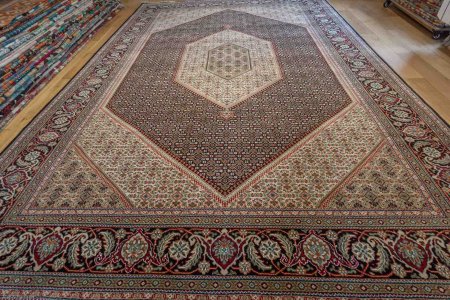 Hand-Knotted Mahi Indian Rug From India