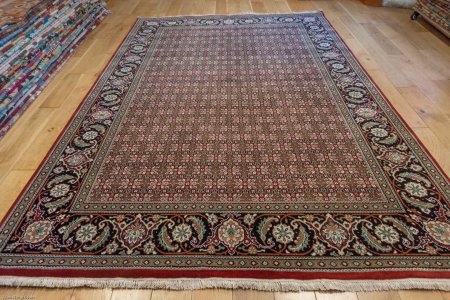 Hand-Knotted Indo Herati Rug From India