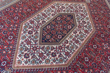Hand-Knotted Indo Bidjar Rug From India