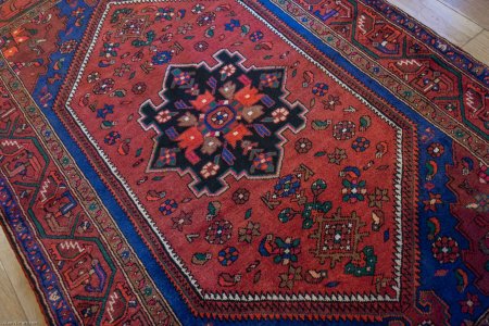 Hand-Knotted Hamadan Rug From Iran (Persian)