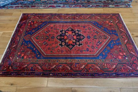 Hand-Knotted Hamadan Rug From Iran (Persian)