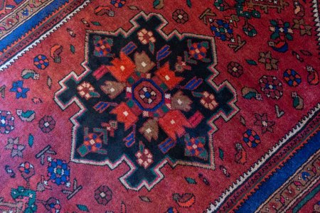 Hand-Knotted Hamadan Rug From Iran (Persian)