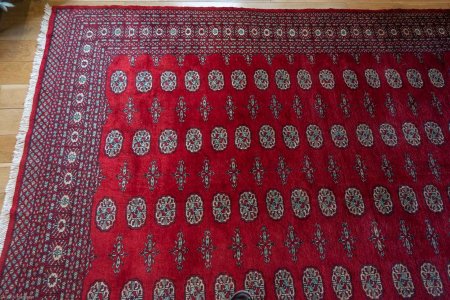 Hand-Knotted Bokhara Rug From Pakistan