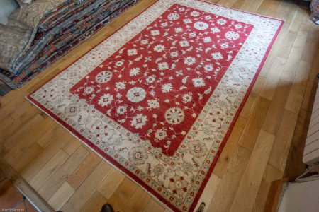 Hand-Knotted Ziegler Rug From Afghanistan