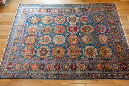 Hand-Knotted Ersari Rug From Pakistan