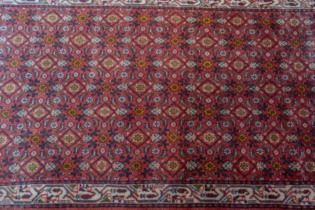 Hand-Knotted Hosseinabad Runner From Iran (Persian)