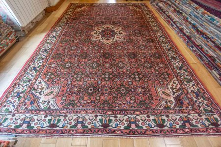 Hand-Knotted Hosseinabad Rug From Iran (Persian)