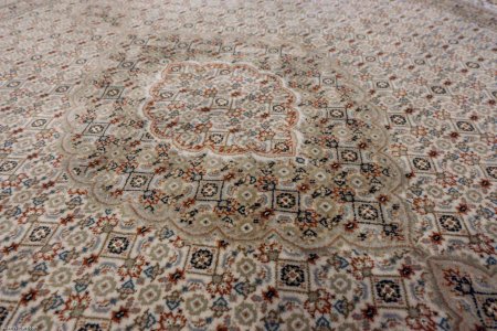 Hand-Knotted Mahi Indian Rug From India