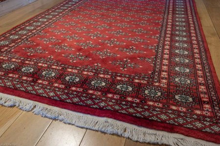 Hand-Knotted Bokhara Rug From Pakistan