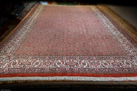 Hand-Knotted Fine Bidjar Rug From Iran (Persian)