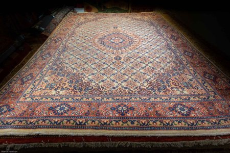 Hand-Knotted Moud Rug From Iran (Persian)