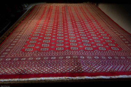 Hand-Knotted Bokhara Rug From Pakistan