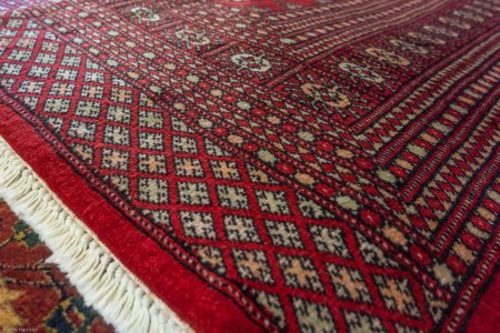 Hand-Knotted Bokhara Rug From Pakistan