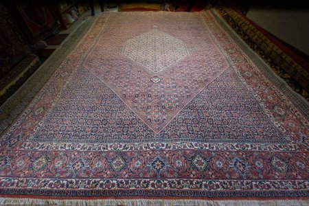 Hand-Knotted Bidjar Rug From Iran (Persian)