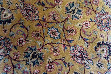 Hand-Knotted Mashad Palace Runner From India