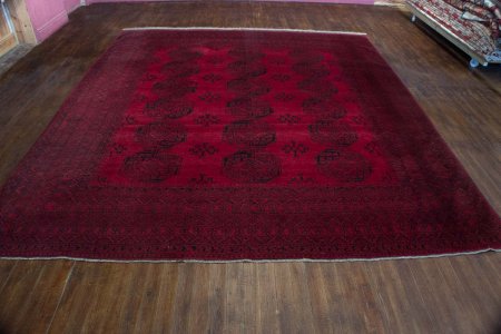 Hand-Knotted Chal-A-Shator Rug From Afghanistan