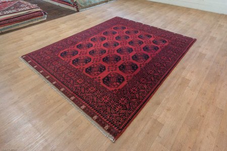 Hand-Knotted Agra Afghan Rug From India