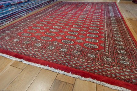 Hand-Knotted Bokhara Rug From Pakistan