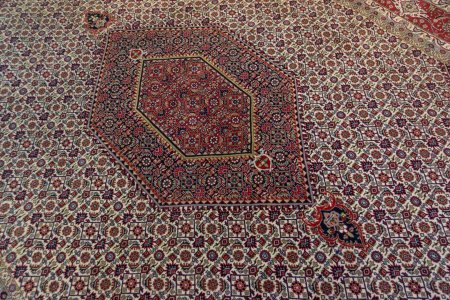 Hand-Knotted Indo Bidjar Rug From India