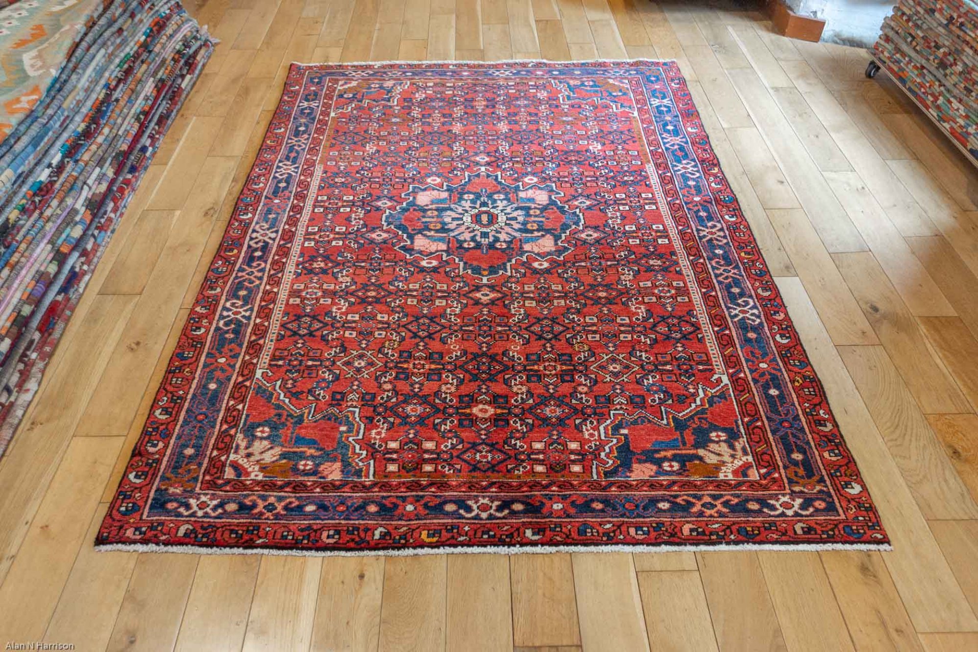 HandKnotted Hosseinabad Rug From Iran (Persian) (SN27831) Olney