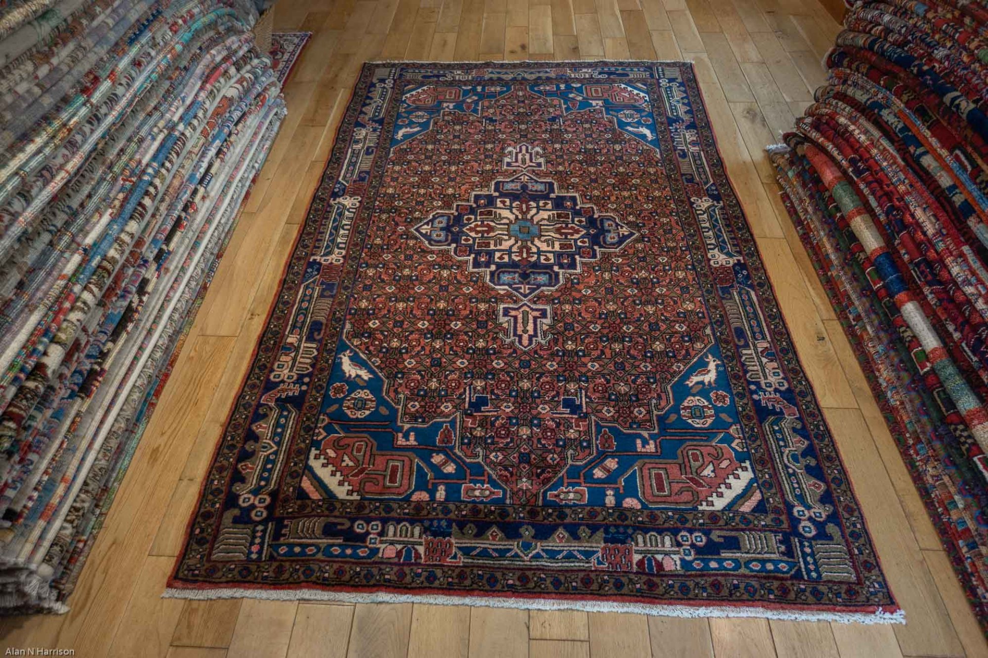 HandKnotted Kolyai Rug From Iran (Persian) (SN28531) Olney Oriental Rugs