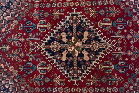 Hand-Knotted Surendra Rug From India