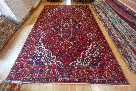 Hand-Knotted Bahktiar Rug From Iran (Persian)