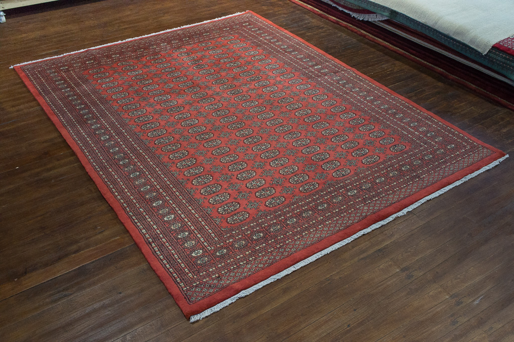 Oriental Bokhara rug